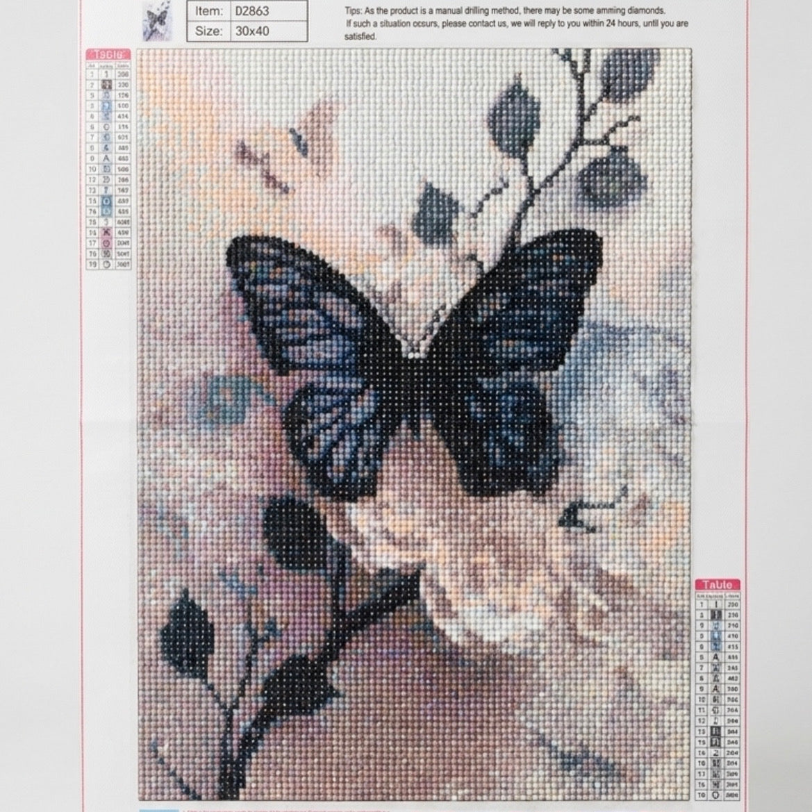 Butterfly diamond art picture